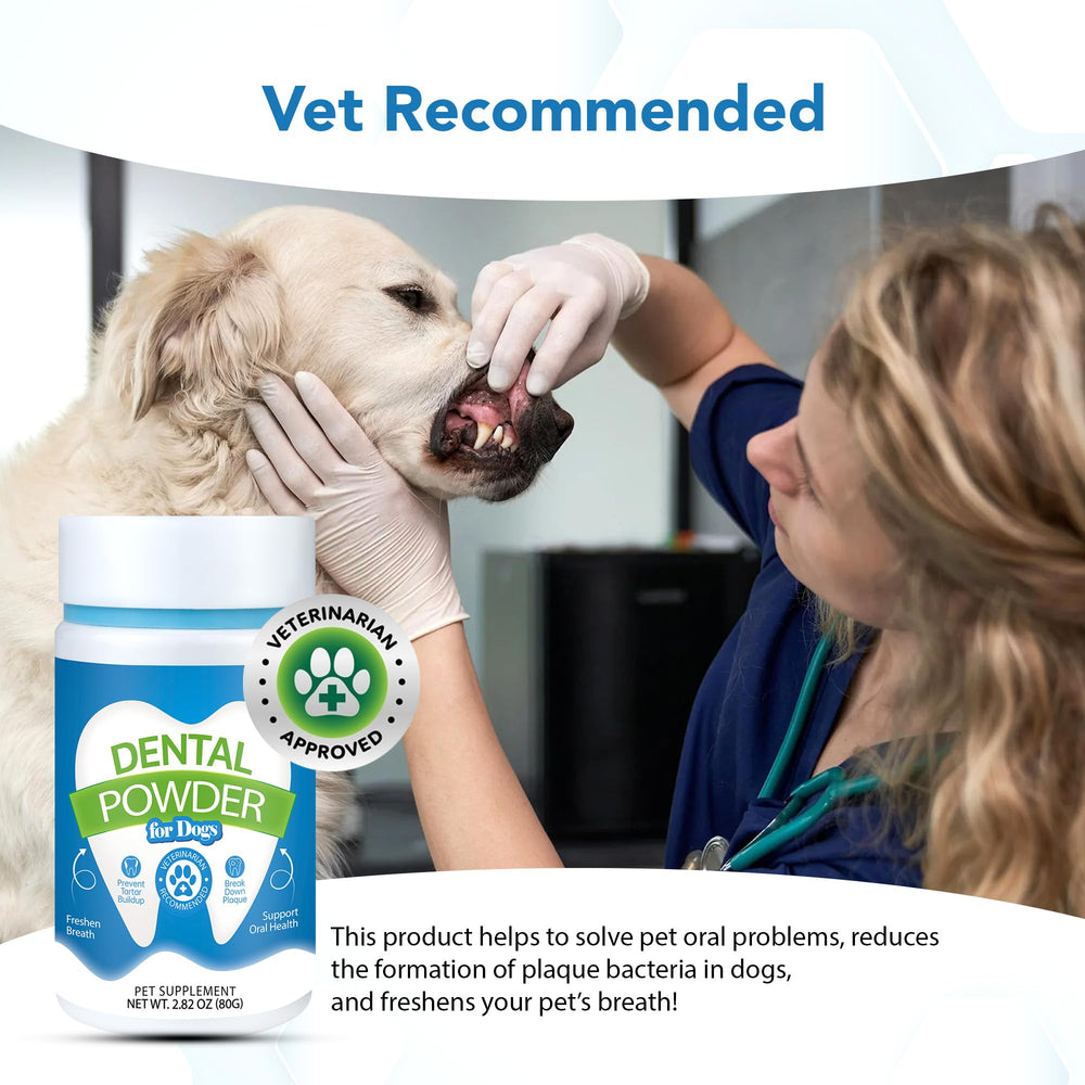 Packaging front of Spanielbuns dental powder with clear branding.