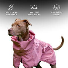 Spark Paws Breatheshield mesh lining keeps dogs comfortable on warm days.
