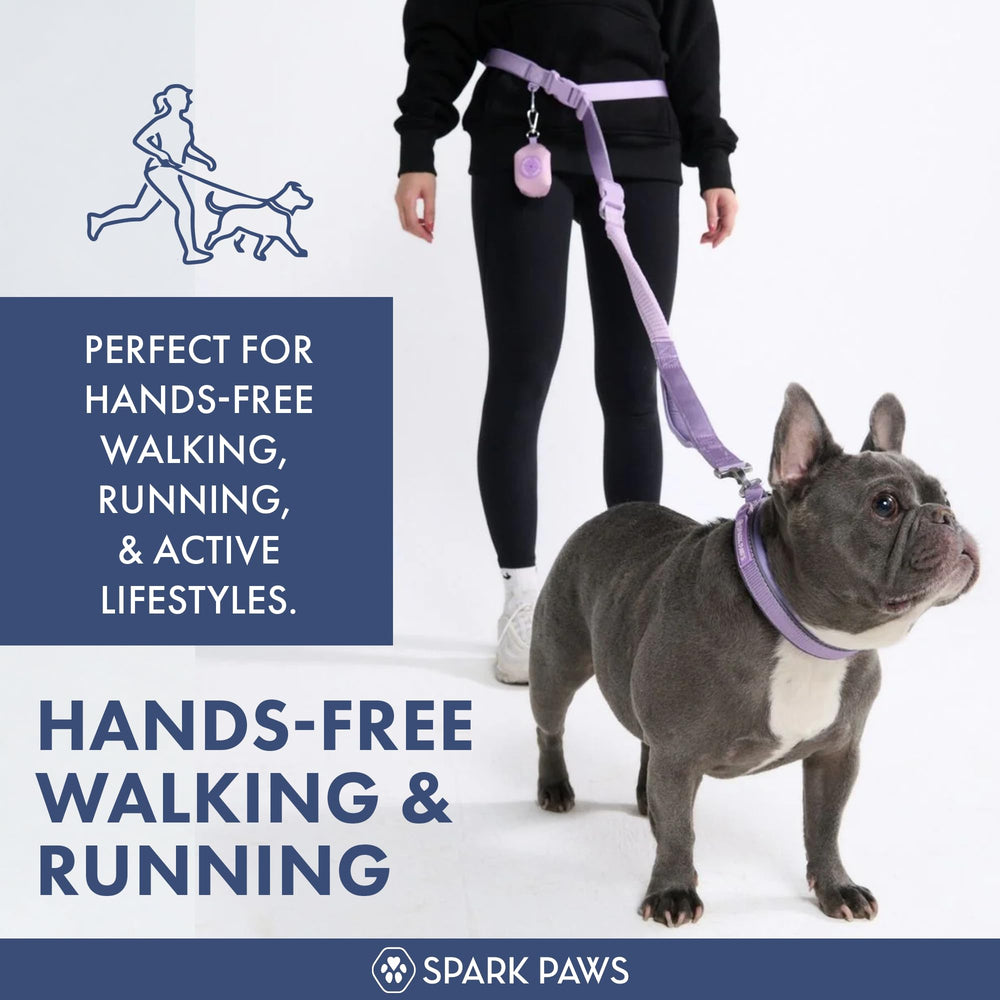 Spark Paws bungee-leash absorbs pull, smoothing quick lunges during walks.
