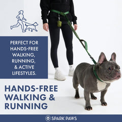 Spark Paws bungee-leash for running reduces jolts during sudden pulls