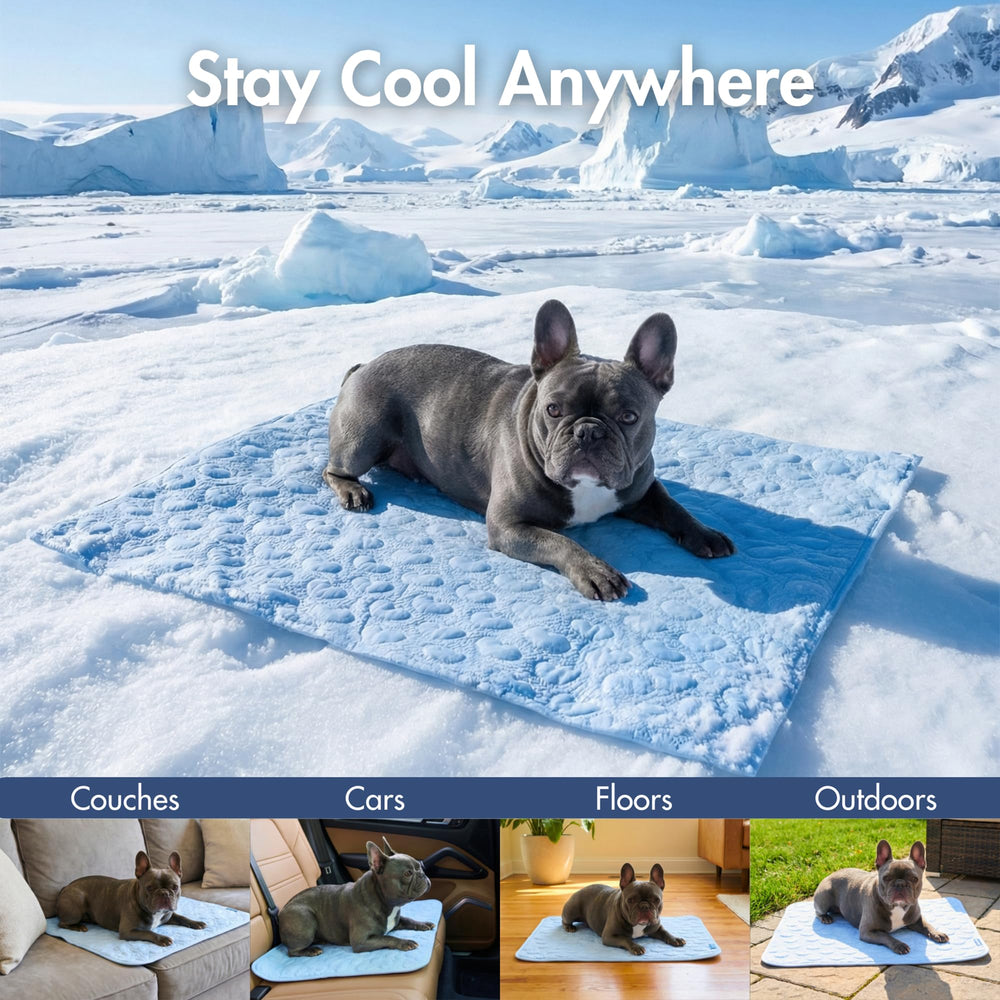 Spark Paws cooling mat hearts blue in-car setup keeps your pup comfy on rides