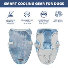 Spark Paws cooling vest on a dog during a hiking adventure for comfort