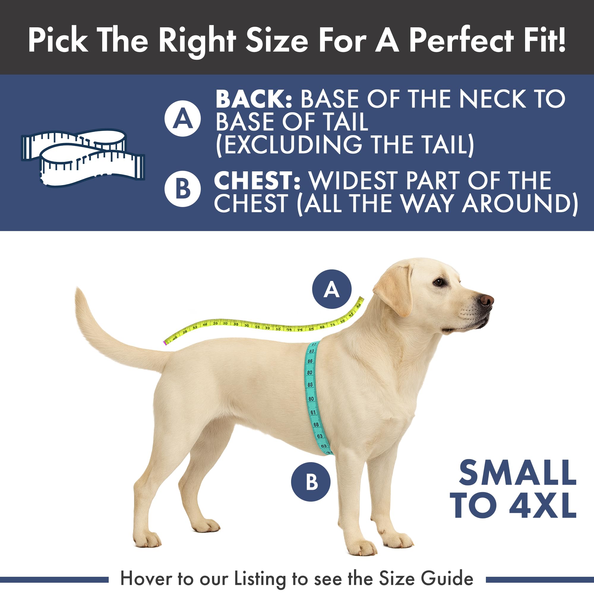 Spark Paws all-sizes hoodie demonstrates versatile sizing for different dogs.