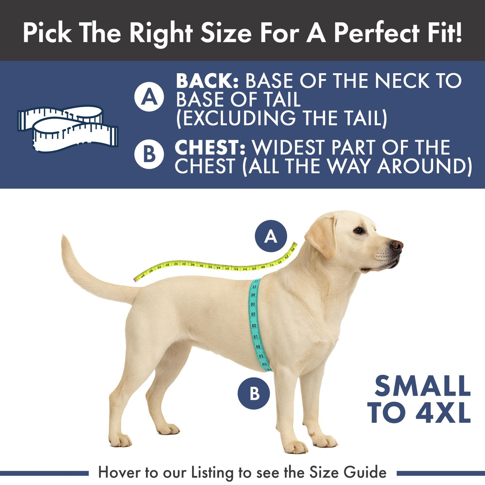 Spark Paws all-sizes hoodie demonstrates versatile sizing for different dogs.