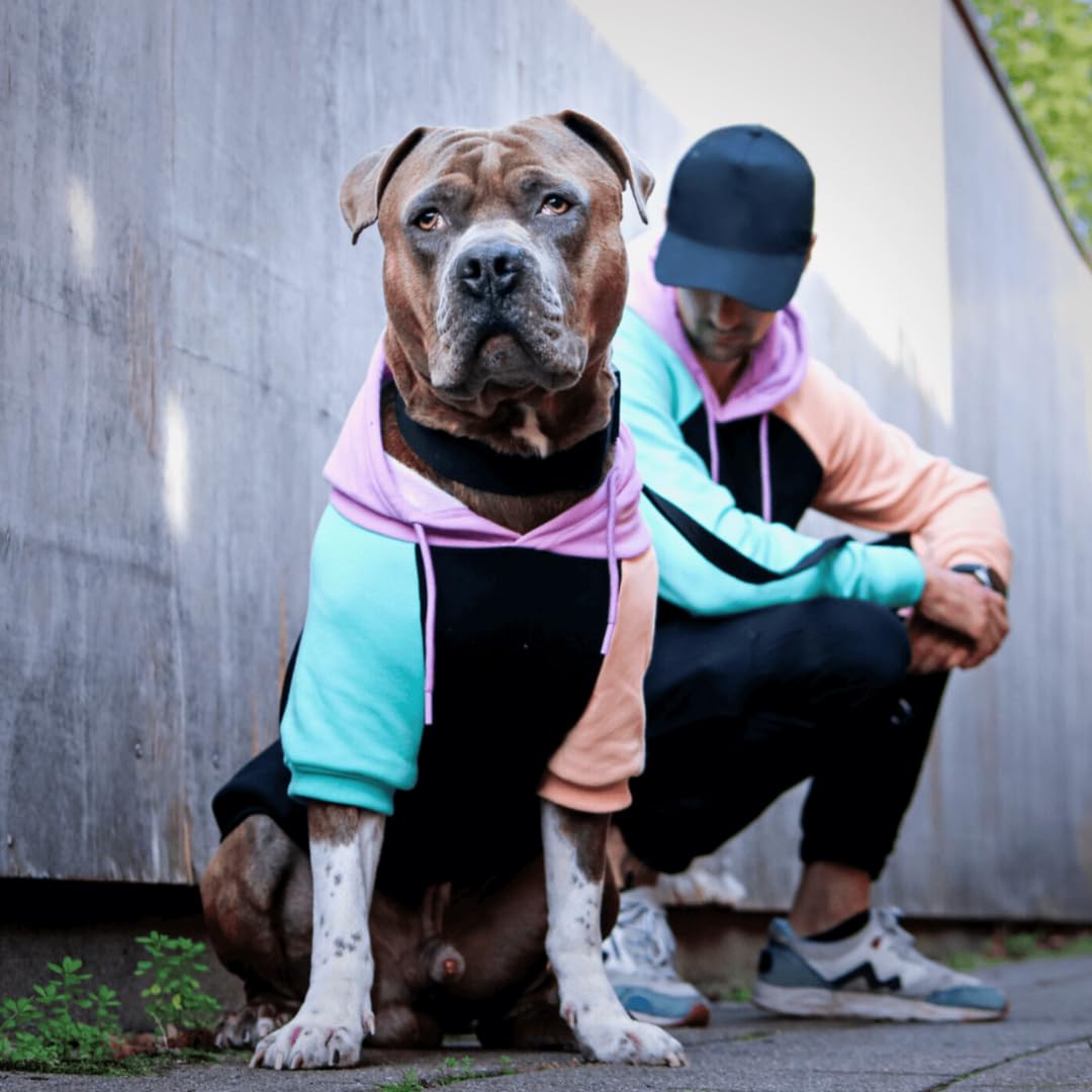 Spark Paws dog hoodie in cyber punk style offering warm, stylish coverage