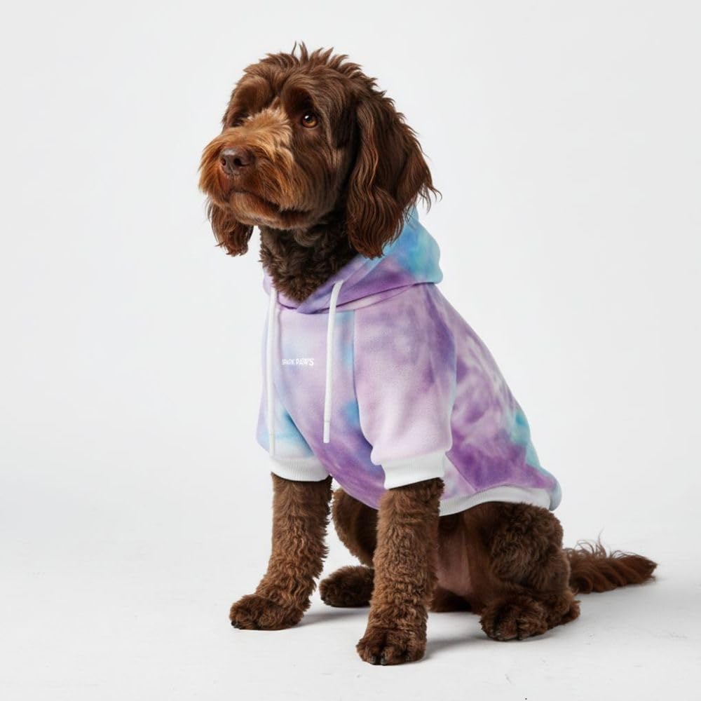 Spark Paws dog hoodie front view shows soft, stretchy fabric for comfortable movement.