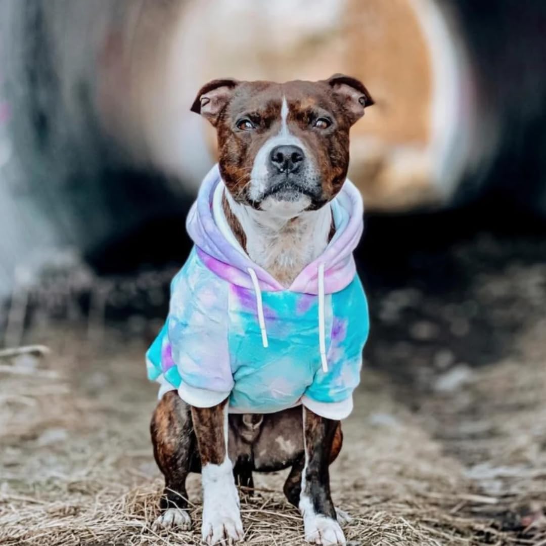 Spark Paws Dog Hoodie interior fleece provides cozy warmth without bulk.