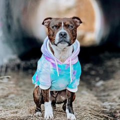 Spark Paws Dog Hoodie interior fleece provides cozy warmth without bulk.