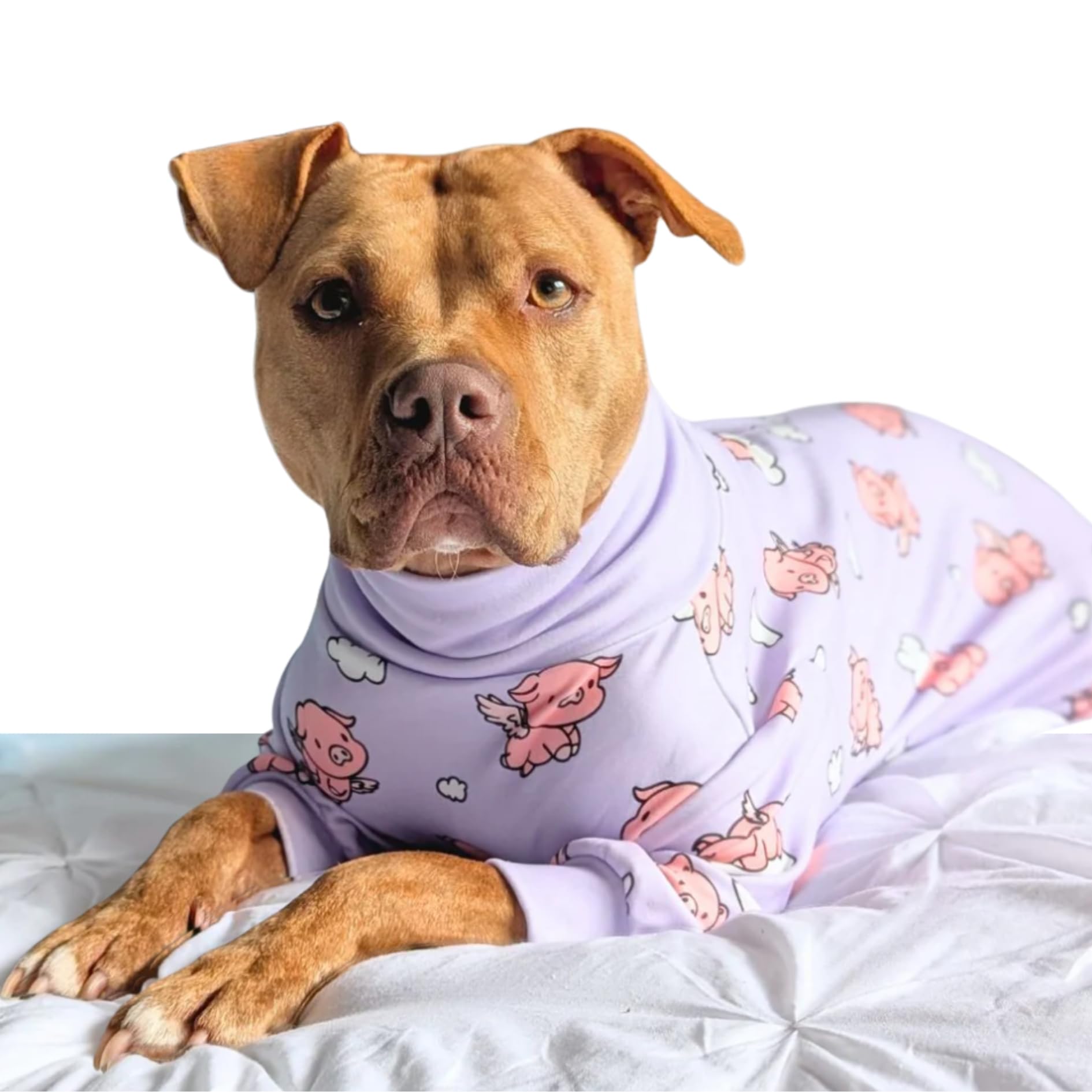 Spark Paws dog pajama interior calms with a soft fleece hug