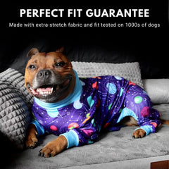 Spark Paws Planets dog pajama worn by dog demonstrates full range of motion.