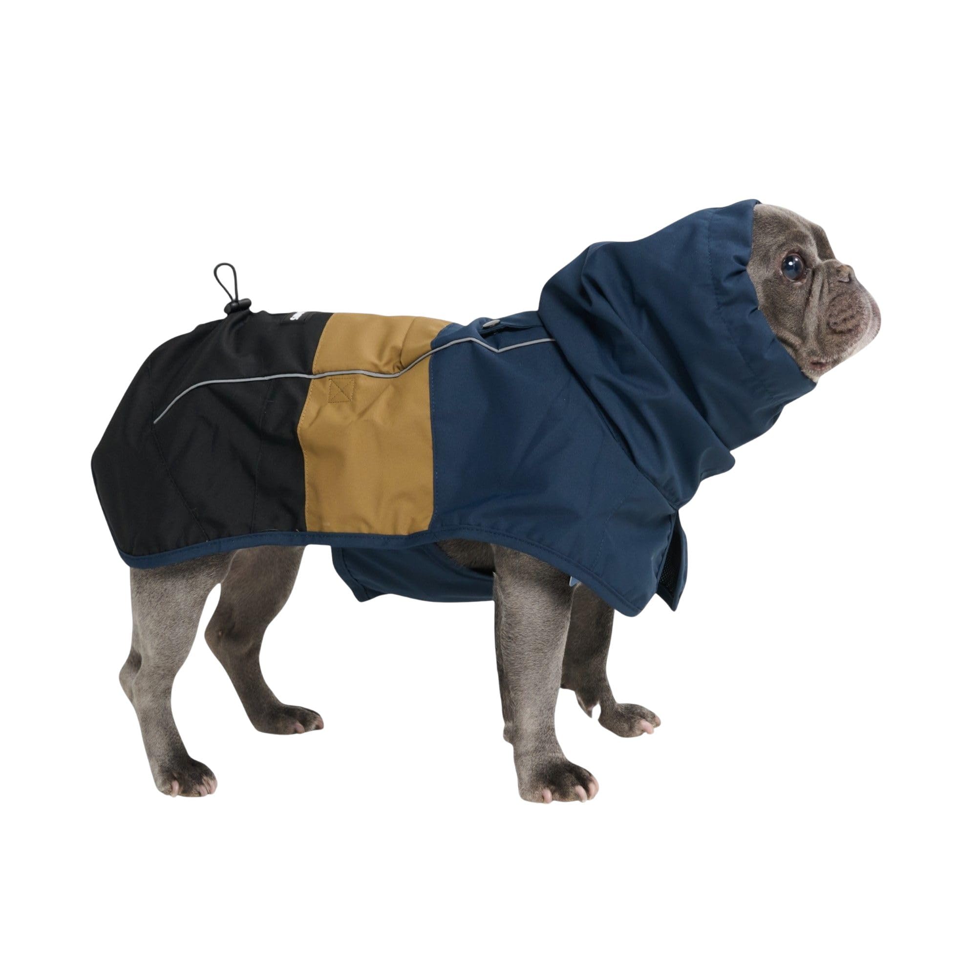 Spark Paws raincoat full-coverage back view keeps dogs dry.