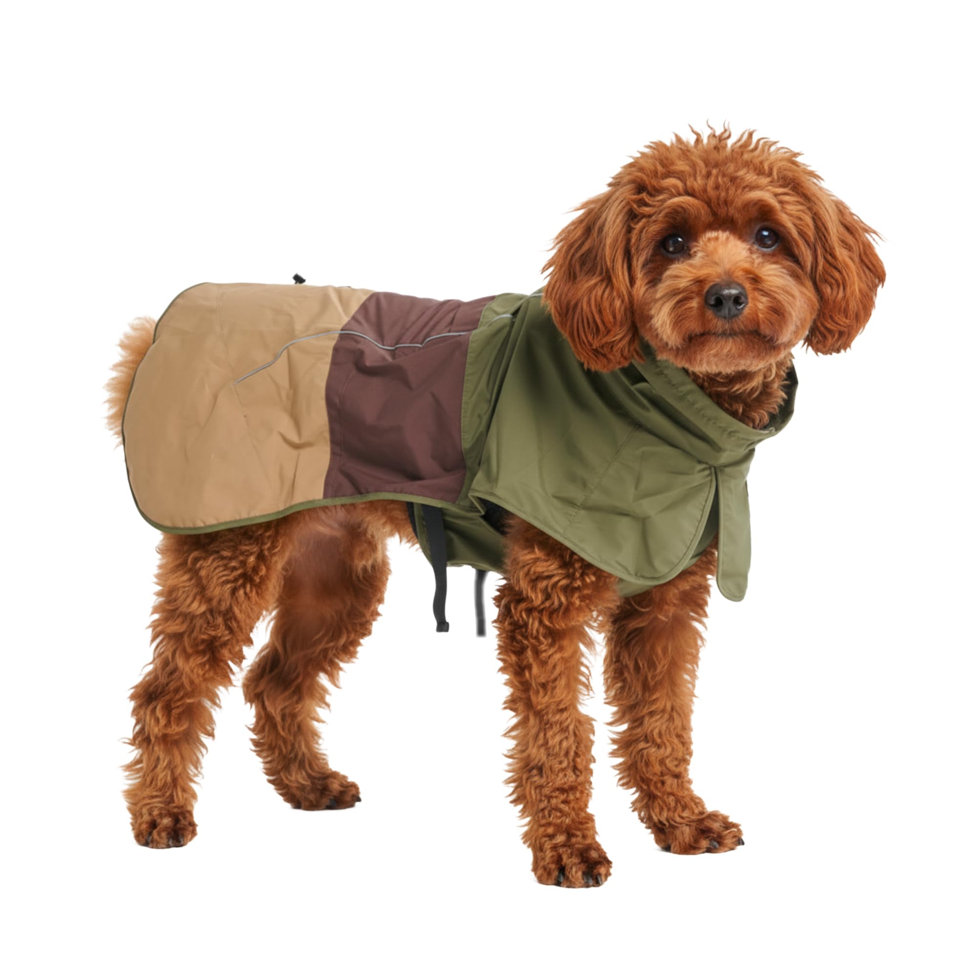 Spark Paws dog raincoat full-coverage close-up with waterproof fabric for rainy walks