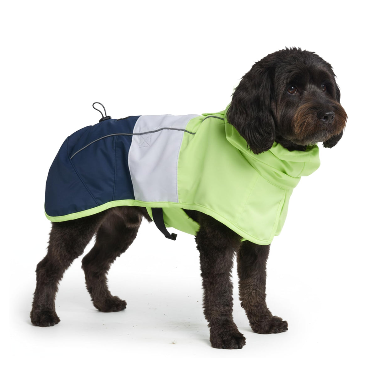 Spark Paws raincoat full-coverage neon white navy protects dogs in heavy rain.