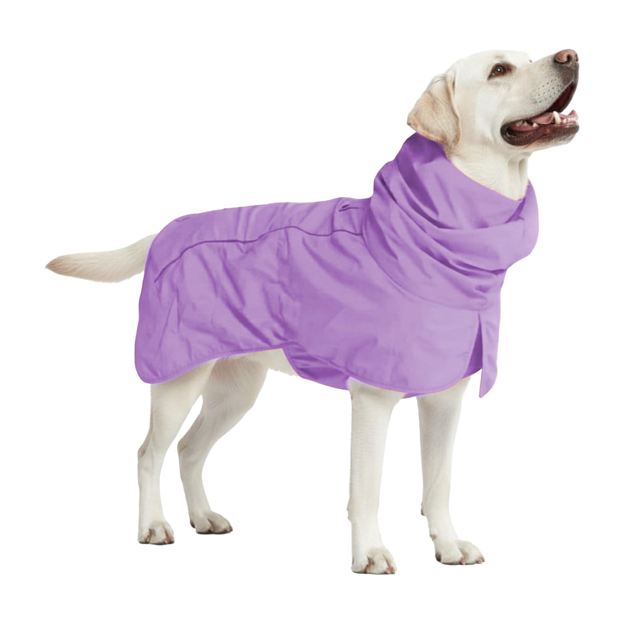 Spark Paws dog raincoat with full-coverage design for wet weather