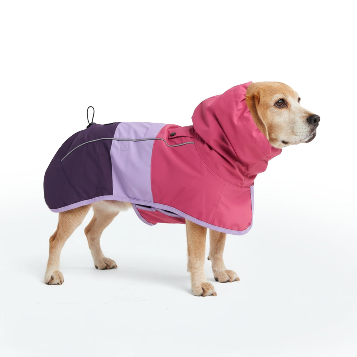 Spark Paws dog raincoat with full-coverage protection for wet walks.