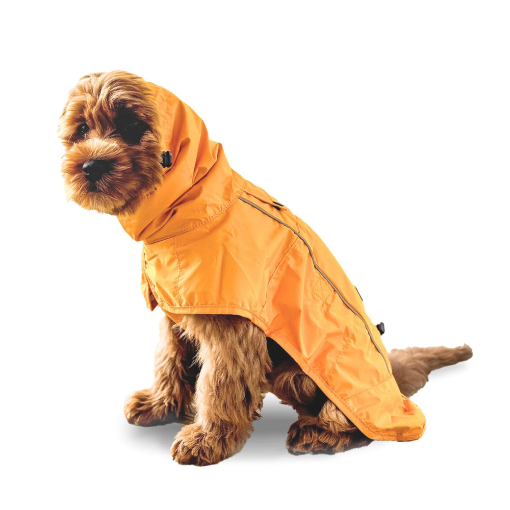 Spark Paws raincoat offers full-coverage protection to keep dogs dry on rainy walks.