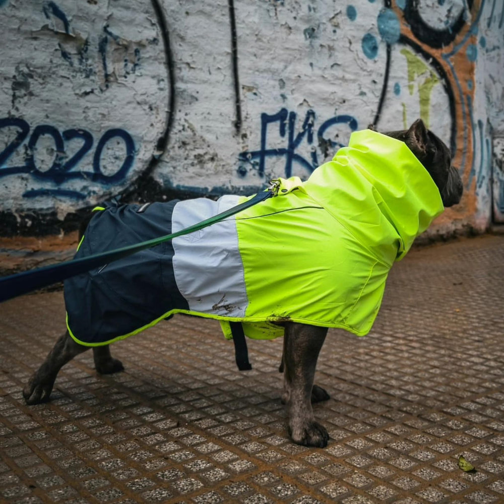 Spark Paws hind-leg toggle enables easy bathroom breaks.