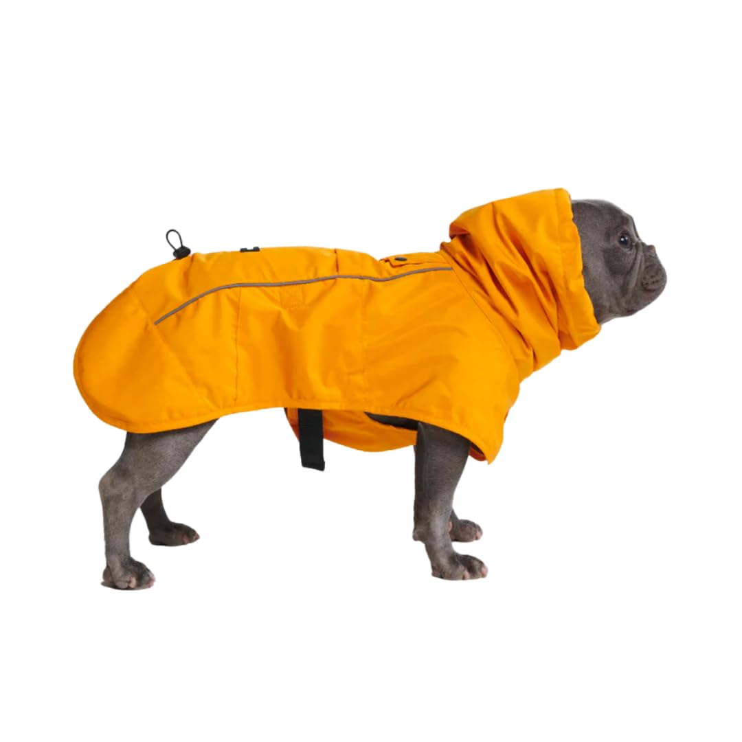 Spark Paws raincoat on dog in mustard yellow for all-weather protection