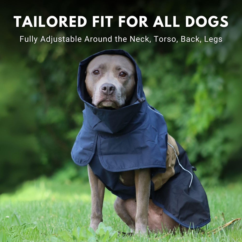 Spark Paws raincoat with adjustable neck wrap keeping neck and face dry.