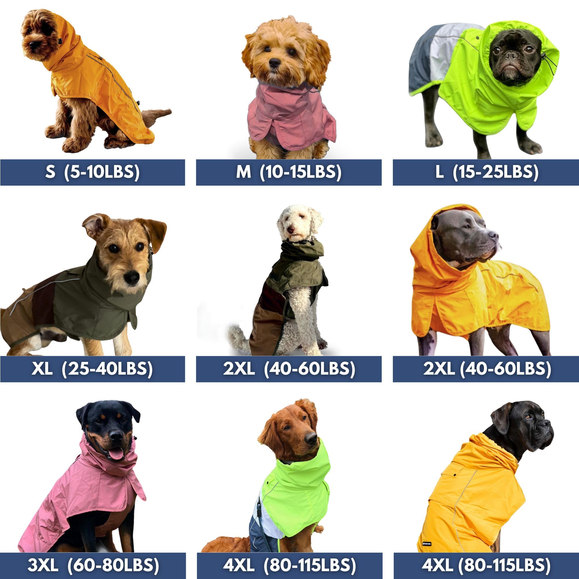 Spark Paws raincoat with reflective strips for nighttime visibility.
