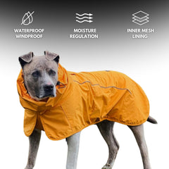 Spark Paws raincoat reflective strips enhance night visibility