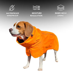 Spark Paws raincoat with reflective strips for night visibility.