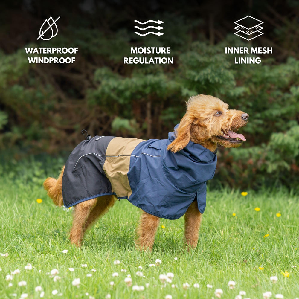 Spark Paws breathable mesh lining for all-day comfort.