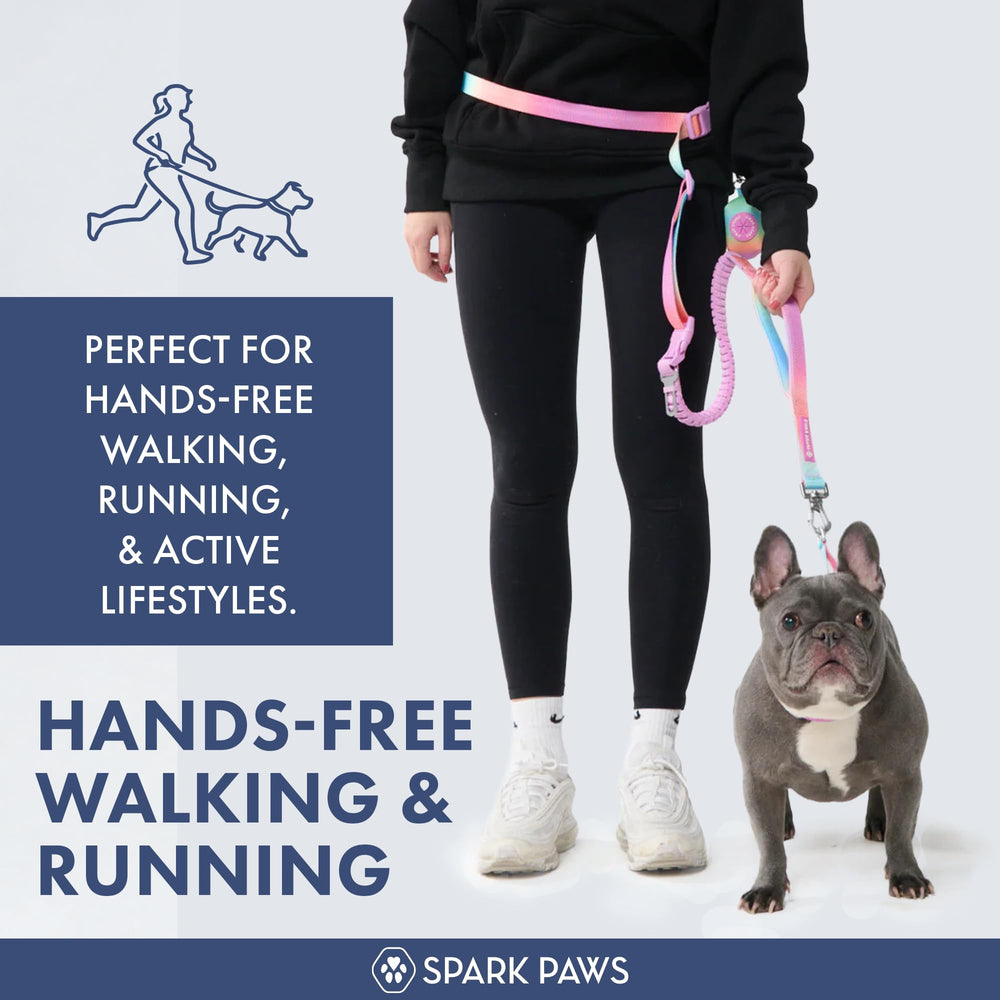 Spark Paws Handsfree Leash car seatbelt clip for safer car rides