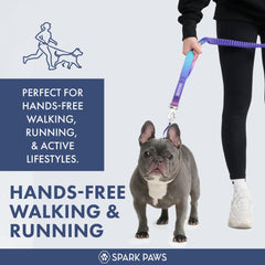 Spark Paws Handsfree Leash car-seatbelt clip for safe car travel.