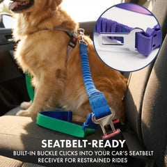 Spark Paws Handsfree Leash heavy-duty nylon webbing for strong dogs.