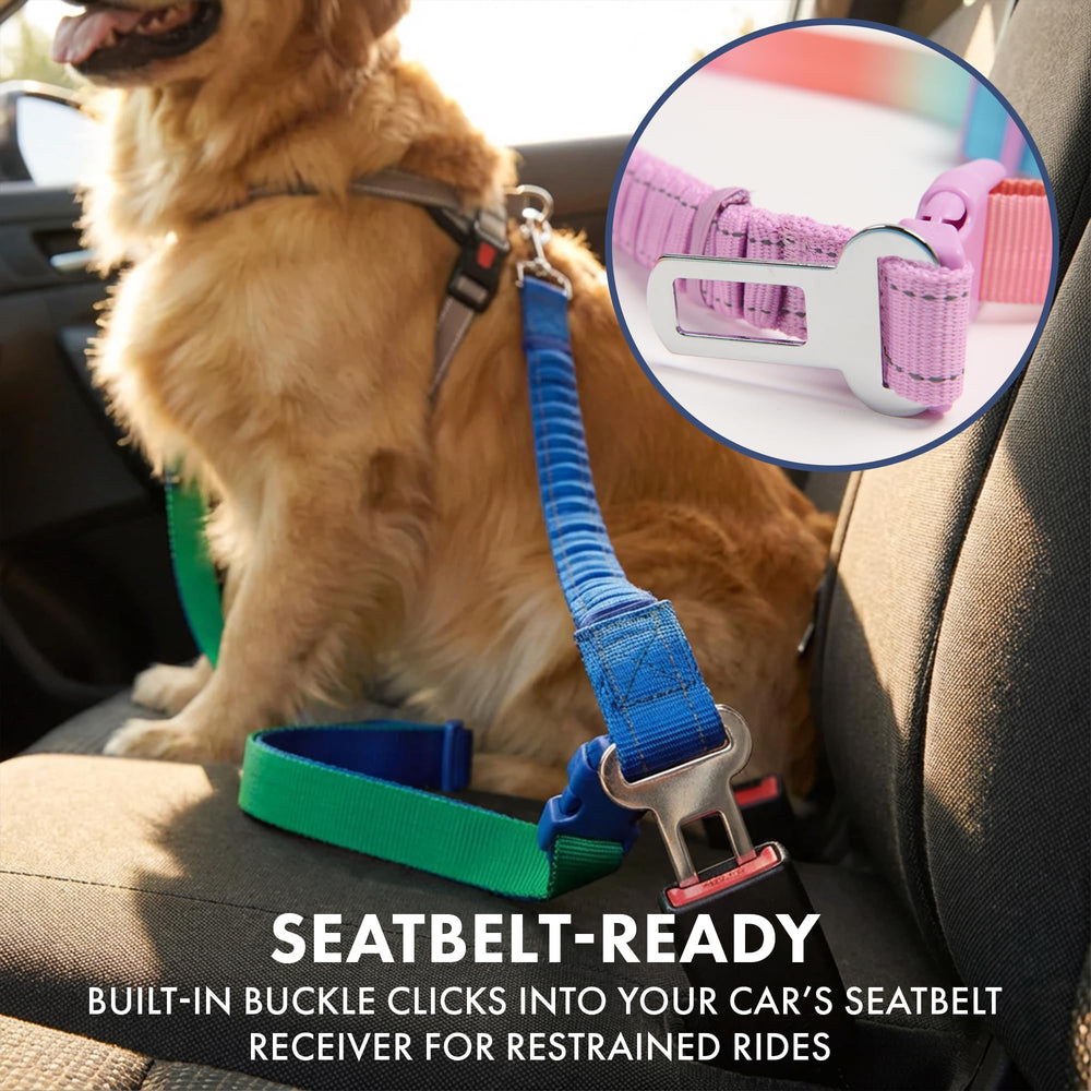 Spark Paws Handsfree Leash poopy bag set for convenient outings
