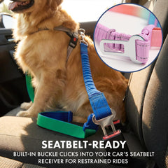 Spark Paws Handsfree Leash poopy bag set for convenient outings