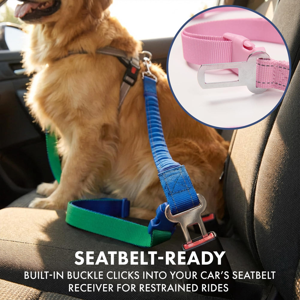 Spark Paws heavy-duty leash withstands strong pulls for larger dogs