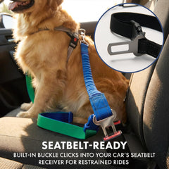 Spark Paws Heavy-duty nylon leash withstands strong pulls from large breeds