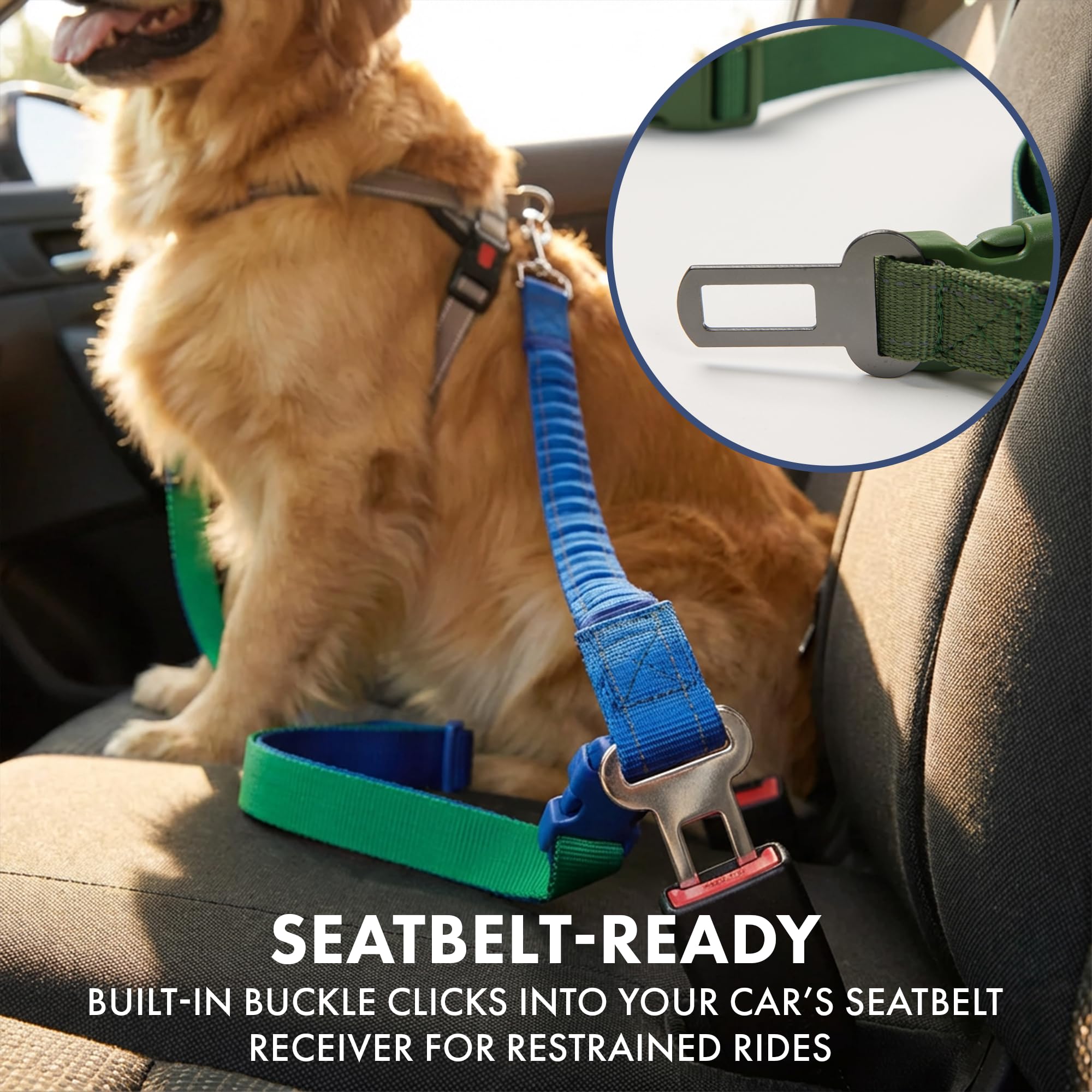 Spark Paws heavy-duty nylon leash withstands strong dogs in any activity