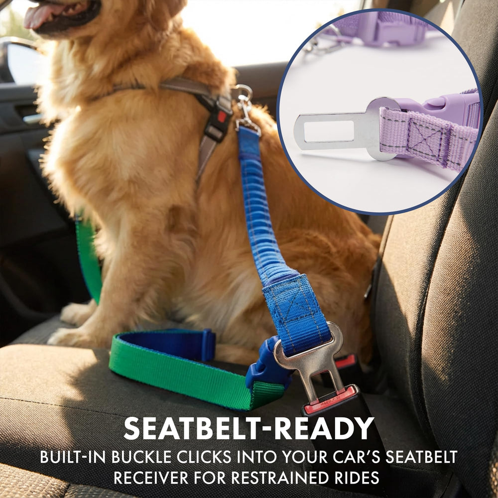 Spark Paws heavy-duty tactical leash built to handle strong dogs during rugged outdoor activity.