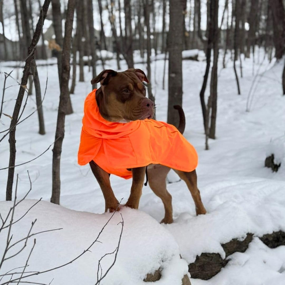 Spark Paws hind leg toggle enables quick bathroom breaks while protecting fur.