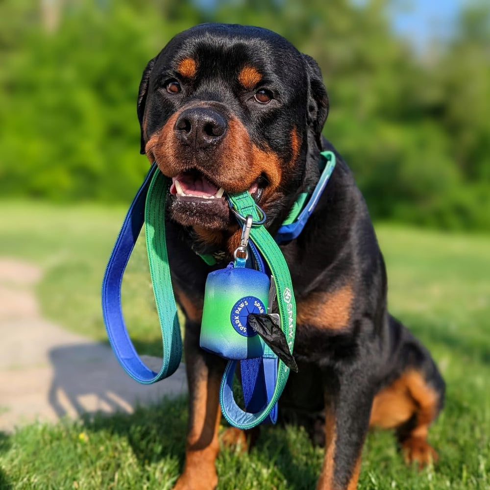 Spark Paws Lime Wave leash with military nylon weave for durability