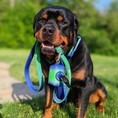 Spark Paws Lime Wave leash with military nylon weave for durability