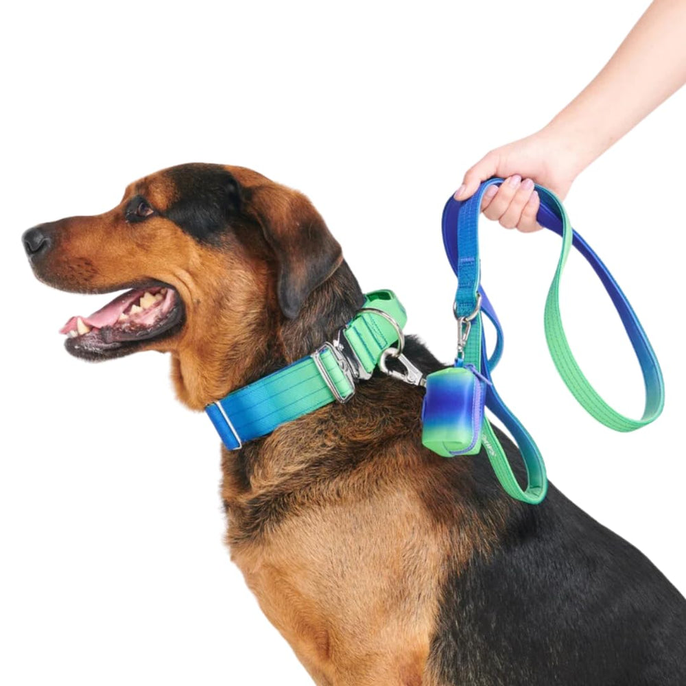 Spark Paws leash with neoprene padded handle for comfortable long walks