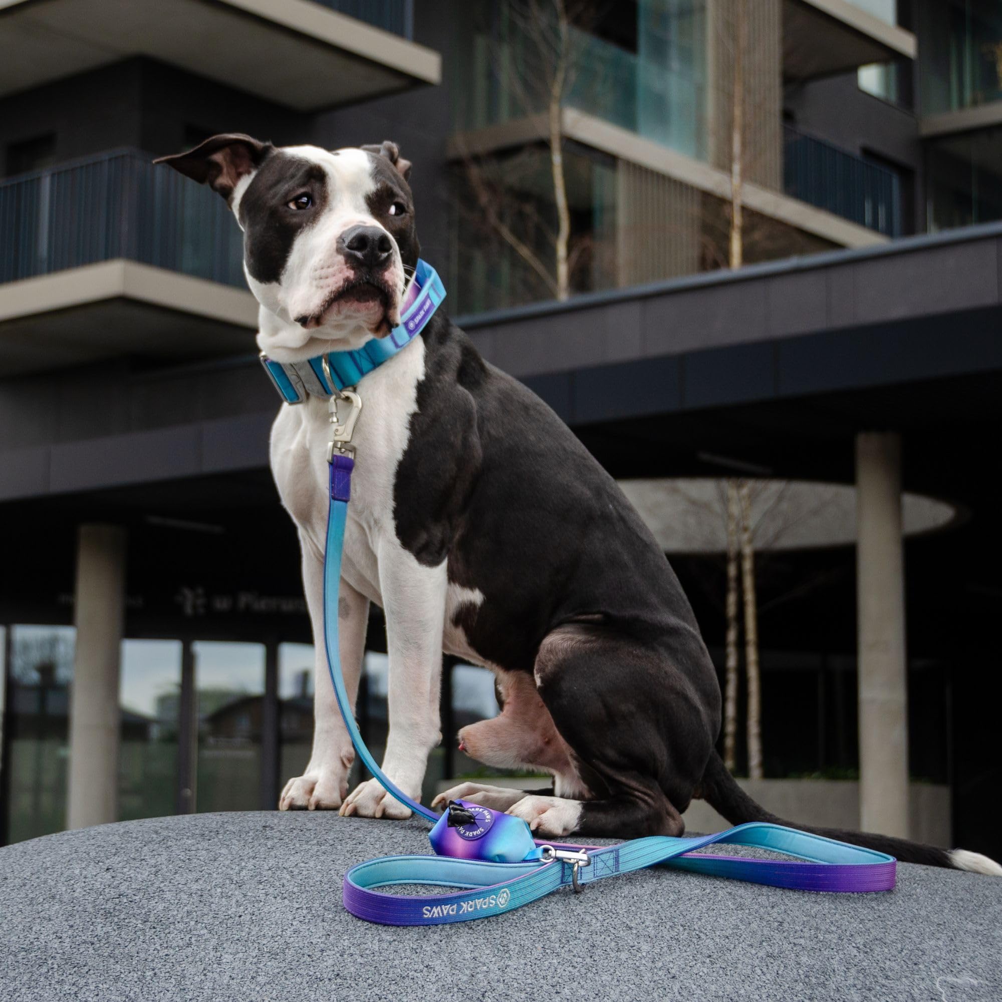 Spark Paws military nylon and neoprene build withstands daily wear