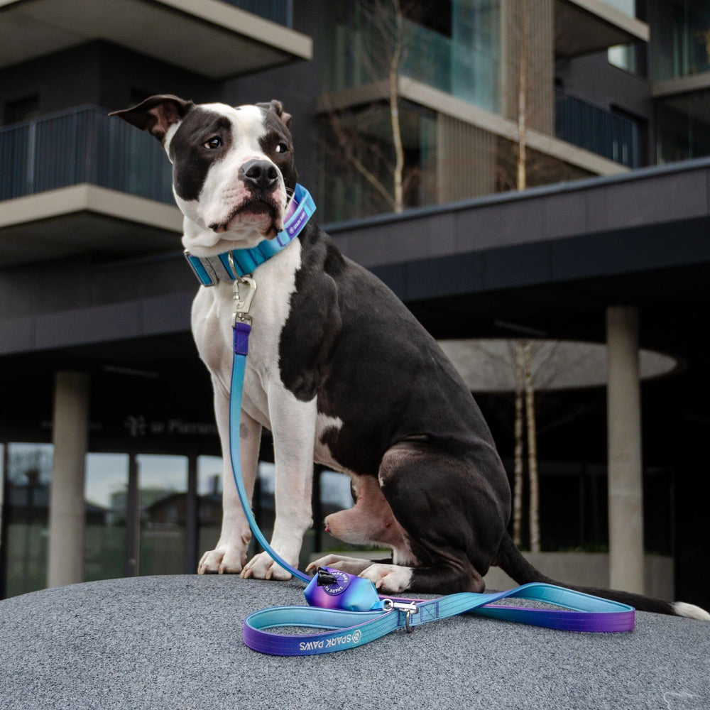 Spark Paws military nylon and neoprene build withstands daily wear