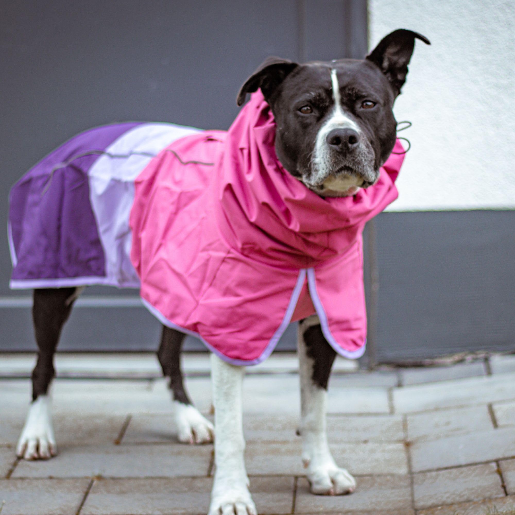 Spark Paws adjustable neck wrap keeps neck and face dry.