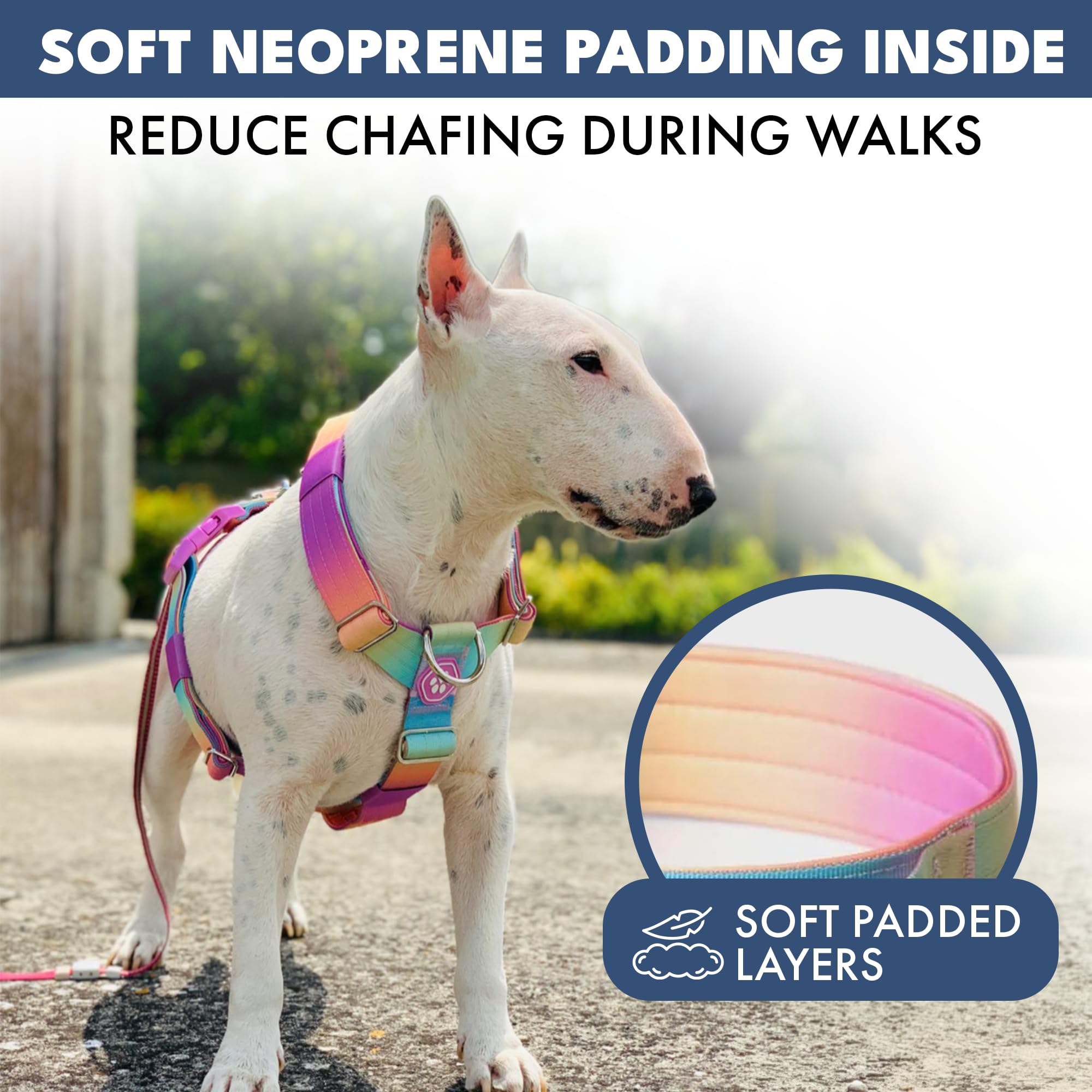 Spark Paws adjustable chest and torso fit for large breeds