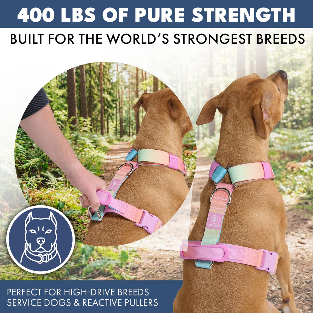 Spark Paws neoprene padding prevents chafing for comfortable all-day wear