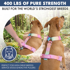 Spark Paws neoprene padding prevents chafing for comfortable all-day wear