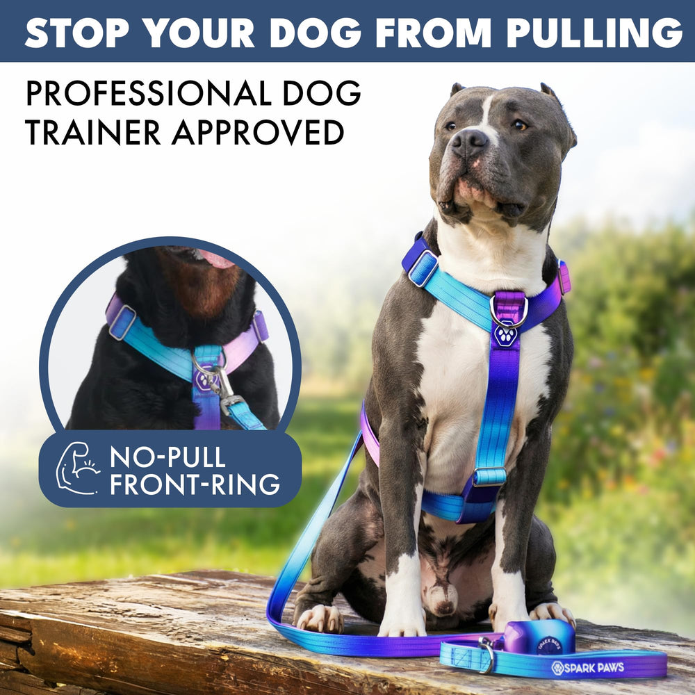 Spark Paws padded neoprene lining reduces chafing on long walks