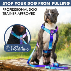 Spark Paws padded neoprene lining reduces chafing on long walks