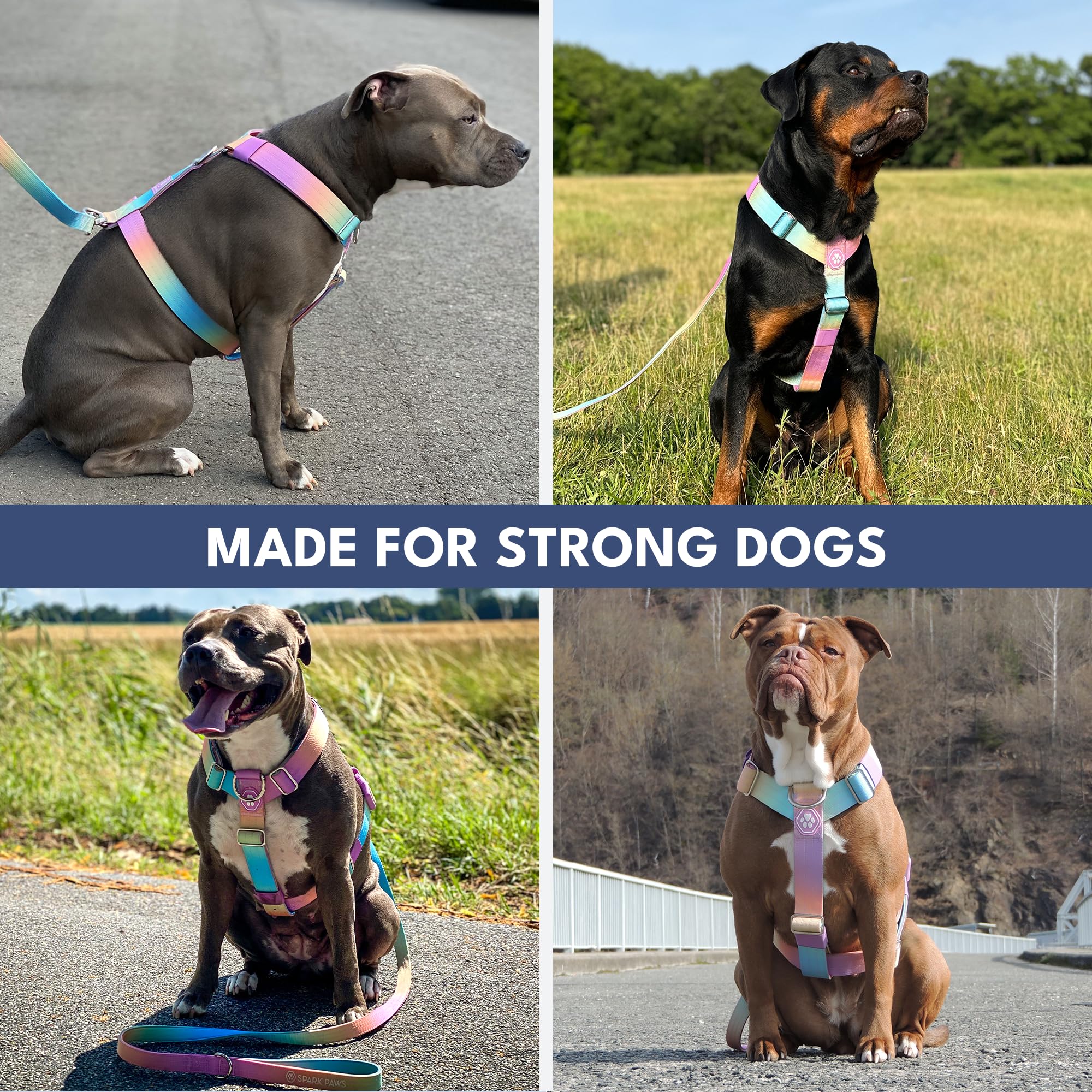 Spark Paws size M Pastel Icing harness fits medium to large dogs