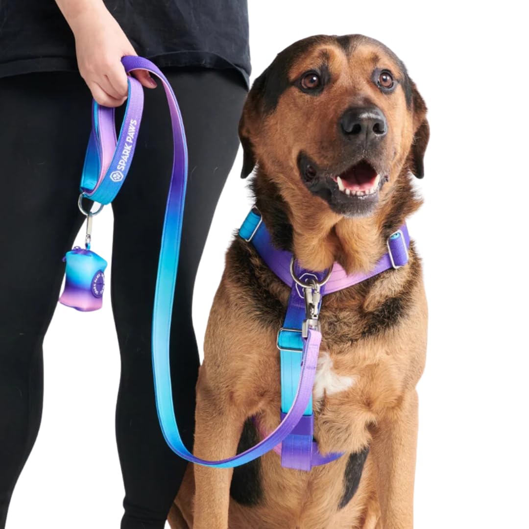 Spark Paws padded-handle leash offers comfortable grip on long strolls